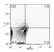 PR/SET Domain 1 antibody, MA5-16114, Invitrogen Antibodies, Flow Cytometry image 