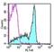 CD45RB antibody, 11-0455-82, Invitrogen Antibodies, Flow Cytometry image 