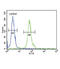 DNA Fragmentation Factor Subunit Beta antibody, abx034537, Abbexa, Flow Cytometry image 