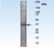 Caspase 7 antibody, ab32522, Abcam, Western Blot image 