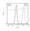 Solute Carrier Family 1 Member 3 antibody, PA5-72895, Invitrogen Antibodies, Flow Cytometry image 