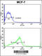 ADAM Metallopeptidase Domain 9 antibody, 62-910, ProSci, Flow Cytometry image 