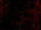 ATM Serine/Threonine Kinase antibody, 3945, ProSci, Immunofluorescence image 