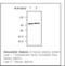 Complement Factor B antibody, LS-C62023, Lifespan Biosciences, Western Blot image 