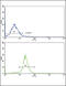 Actin Related Protein 2/3 Complex Subunit 1A antibody, 62-296, ProSci, Flow Cytometry image 
