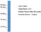 LYL1 Basic Helix-Loop-Helix Family Member antibody, TA329192, Origene, Western Blot image 