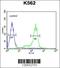 Zinc Finger Protein 572 antibody, 55-411, ProSci, Flow Cytometry image 