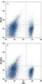 TGF beta antibody, MAB7666, R&D Systems, Flow Cytometry image 