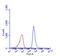 Sequestosome 1 antibody, PA5-78267, Invitrogen Antibodies, Flow Cytometry image 