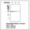 Heat Shock Protein Family B (Small) Member 1 antibody, LS-C62157, Lifespan Biosciences, Western Blot image 