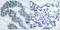 Janus Kinase 2 antibody, GTX50208, GeneTex, Immunohistochemistry paraffin image 