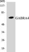 Gamma-Aminobutyric Acid Type A Receptor Alpha4 Subunit antibody, LS-C291975, Lifespan Biosciences, Western Blot image 
