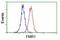 Fragile X Mental Retardation 1 antibody, NBP2-01770, Novus Biologicals, Flow Cytometry image 