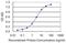 Calpastatin antibody, H00000831-M03, Novus Biologicals, Enzyme Linked Immunosorbent Assay image 