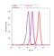 Glutamate receptor ionotropic, NMDA 2B antibody, 71-8600, Invitrogen Antibodies, Flow Cytometry image 