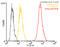 KDEL  antibody, ADI-SPA-827PE-D, Enzo Life Sciences, Flow Cytometry image 