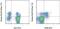 Eomesodermin antibody, 46-4877-42, Invitrogen Antibodies, Flow Cytometry image 