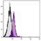 CD28 antibody, NBP1-27934, Novus Biologicals, Flow Cytometry image 