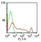 ST6 Beta-Galactoside Alpha-2,6-Sialyltransferase 1 antibody, M03156, Boster Biological Technology, Immunofluorescence image 