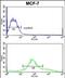 Zyg-11 Family Member A, Cell Cycle Regulator antibody, PA5-72552, Invitrogen Antibodies, Flow Cytometry image 