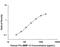 Matrix Metallopeptidase 13 antibody, MAB913, R&D Systems, Enzyme Linked Immunosorbent Assay image 