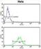 Lactate Dehydrogenase A antibody, abx034405, Abbexa, Flow Cytometry image 