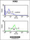 Eukaryotic Translation Initiation Factor 3 Subunit G antibody, 61-891, ProSci, Flow Cytometry image 