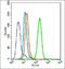 Methionine Adenosyltransferase 1A antibody, orb185486, Biorbyt, Flow Cytometry image 