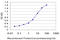 Ribosomal Protein S6 Kinase B2 antibody, LS-B12852, Lifespan Biosciences, Enzyme Linked Immunosorbent Assay image 