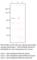 Phosphodiesterase 8A antibody, PD8A-112AP, FabGennix, Western Blot image 