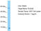 Plasminogen Like B2 antibody, TA332121, Origene, Western Blot image 