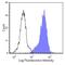 Complement C5a Receptor 1 antibody, MA5-17741, Invitrogen Antibodies, Flow Cytometry image 