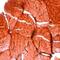 Myoglobin antibody, PA1-38247, Invitrogen Antibodies, Immunohistochemistry frozen image 