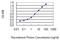 Regulator Of Cell Cycle antibody, MA5-24460, Invitrogen Antibodies, Enzyme Linked Immunosorbent Assay image 