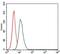 Hyaluronan Synthase 3 antibody, GTX60588, GeneTex, Flow Cytometry image 