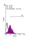 Kruppel Like Factor 4 antibody, GTX101508, GeneTex, Flow Cytometry image 