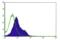 HERG antibody, ALX-804-652-R300, Enzo Life Sciences, Flow Cytometry image 