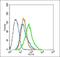 STIP1 Homology And U-Box Containing Protein 1 antibody, orb156352, Biorbyt, Flow Cytometry image 