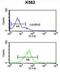 Eukaryotic Translation Initiation Factor 3 Subunit G antibody, abx032484, Abbexa, Flow Cytometry image 