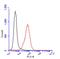 Glypican 1 antibody, GTX104557, GeneTex, Flow Cytometry image 