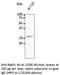 RAB5C, Member RAS Oncogene Family antibody, AB0024-200, SICGEN, Western Blot image 