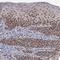 TRNA Methyltransferase 2 Homolog A antibody, PA5-51506, Invitrogen Antibodies, Immunohistochemistry paraffin image 
