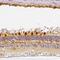 Phospholipase A2 Group V antibody, NBP2-31558, Novus Biologicals, Immunohistochemistry paraffin image 