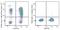 CD226 Molecule antibody, 338333, BioLegend, Flow Cytometry image 