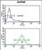 Propionyl-CoA Carboxylase Subunit Beta antibody, PA5-72584, Invitrogen Antibodies, Flow Cytometry image 