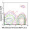CD11C antibody, 117303, BioLegend, Flow Cytometry image 