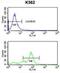 Replication Factor C Subunit 2 antibody, abx031710, Abbexa, Flow Cytometry image 