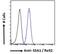 SS-A antibody, PA5-18147, Invitrogen Antibodies, Flow Cytometry image 