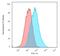 Cyclin Dependent Kinase Inhibitor 1B antibody, GTX34928, GeneTex, Flow Cytometry image 