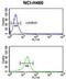 Yes Associated Protein 1 antibody, GTX81839, GeneTex, Flow Cytometry image 